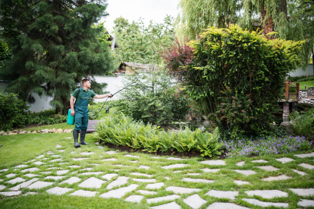Best Flea Control Services  in Normandy Park, WA
