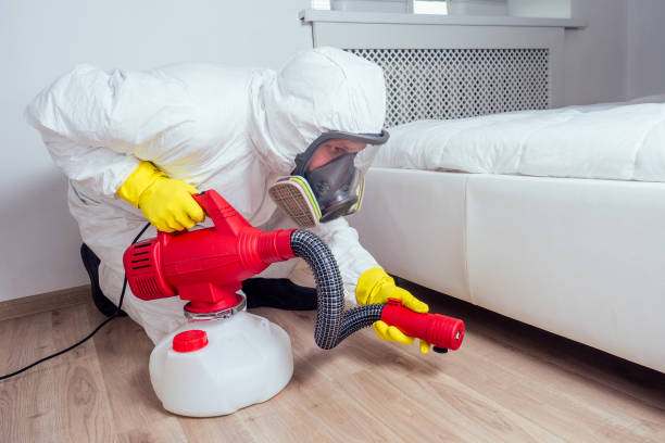 Trusted Normandy Park, WA Pest Control Experts
